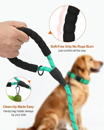 Joytale Dog Leash for Large Dogs, Heavy Duty Nylon Leashes with Comfortable Padded Handle and Highly Reflective Threads, Ideal for Walking and Training, Teal, 6'×1/2''