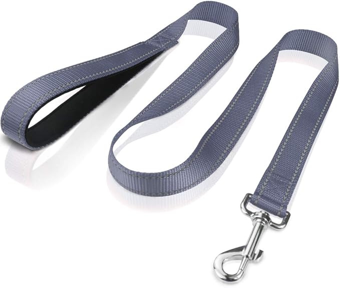 FunTags 4FT Reflective Dog Leash with Soft Padded Handle for Training,Walking Lead for Medium & Small Dogs,3/4 Inch Wide,Grey