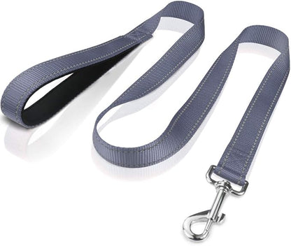 FunTags 4FT Reflective Dog Leash with Soft Padded Handle for Training,Walking Lead for Medium & Small Dogs,3/4 Inch Wide,Grey