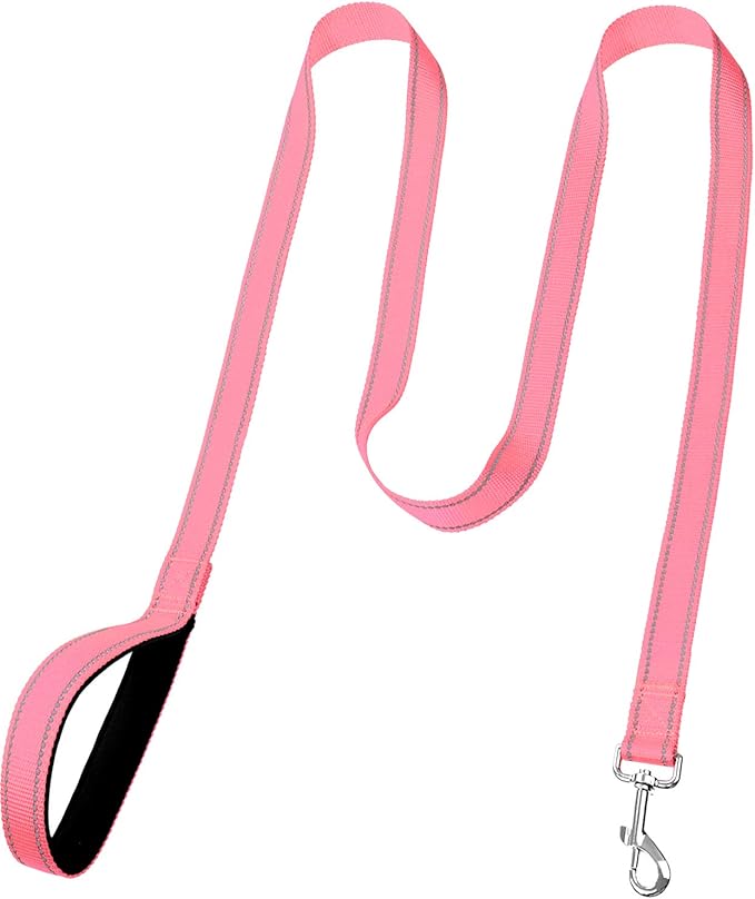 FunTags 6FT Reflective Dog Leash with Soft Padded Handle for Training,Walking Lead for Medium & Small Dogs,3/4 Inch Wide,Neon Pink