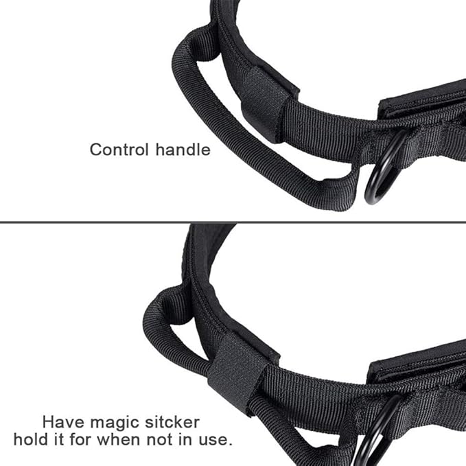 Xqpetlihai Tactical Dog Collar Adjustable Military Nylon Dog Collar with Control Handle and Heavy Duty Metal Buckle for Medium and Large Dogs (Black,S)