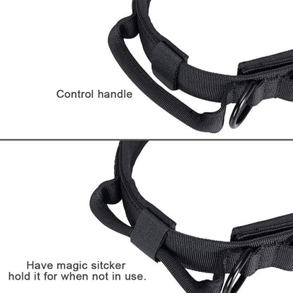Xqpetlihai Tactical Dog Collar Adjustable Military Nylon Dog Collar with Control Handle and Heavy Duty Metal Buckle for Medium and Large Dogs (Black,S)
