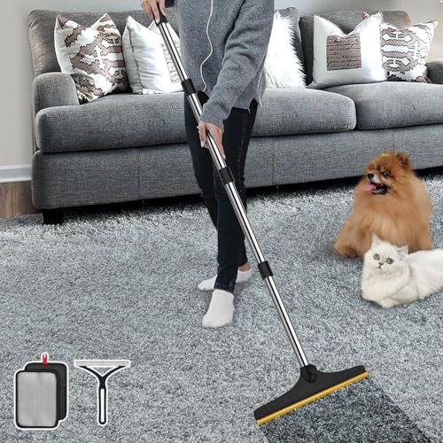 B-Land Carpet Rake for Pet Hair Removal, Reusable Carpet Scraper Broom by B-Land