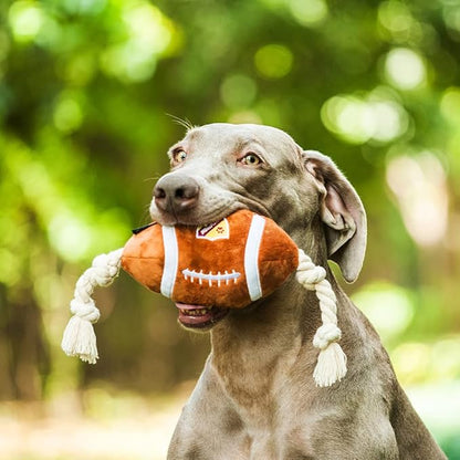 CHEWFFON Durable Dog Football Toy with Rope - Interactive Tug Toy for Small, Medium & Large Dogs - Outdoor Fetch Ball & Teething Puppy Toy