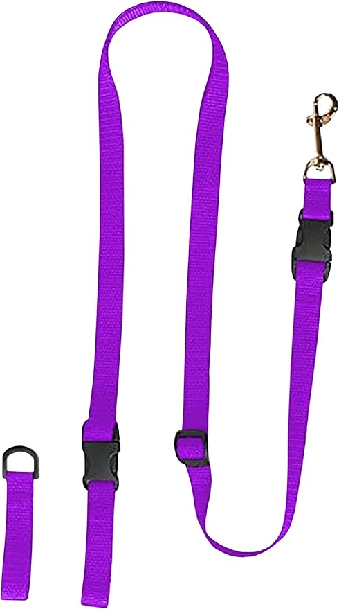 The Buddy System Extra a Buddy Small Purple