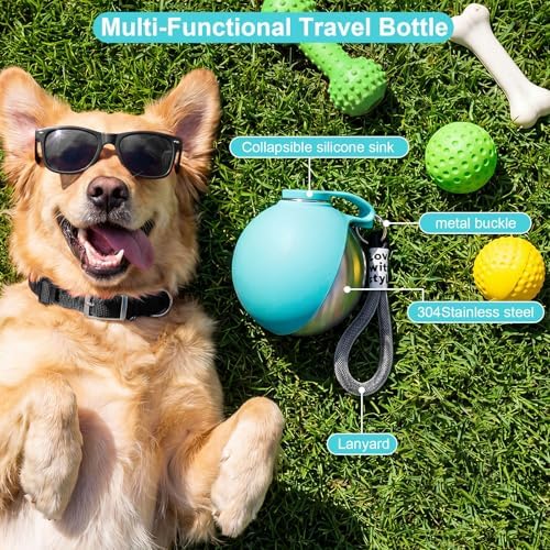 Portable Dog Water Bottle with Bowl, 10oz Leak-Proof Stainless Steel Dog Travel Water Bottle, BPA-Free Pet Water Dispenser for Small & Medium Dogs, Walking, Hiking & Outdoor Travel - Image 2