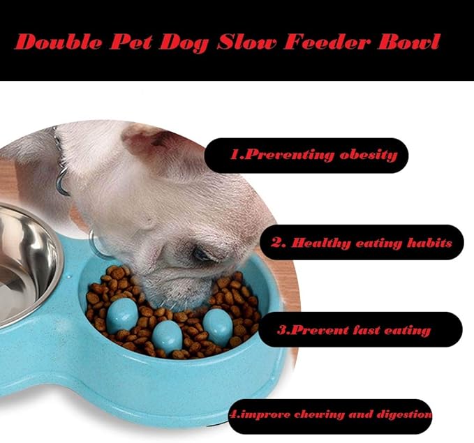 Double Pet Slow Feeder Bowl,Stainless Steel Anti-Choke Puppy Food and Water Feeder with Pet Finger Toothbrush for Small Medium Dog Cats Healthy Care and Adjust Weight