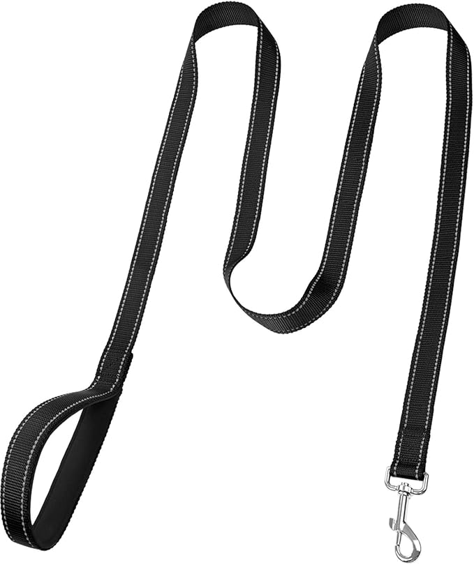FunTags 6FT Reflective Dog Leash with Soft Padded Handle for Training,Walking Lead for Medium & Small Dogs,3/4 Inch Wide,Black