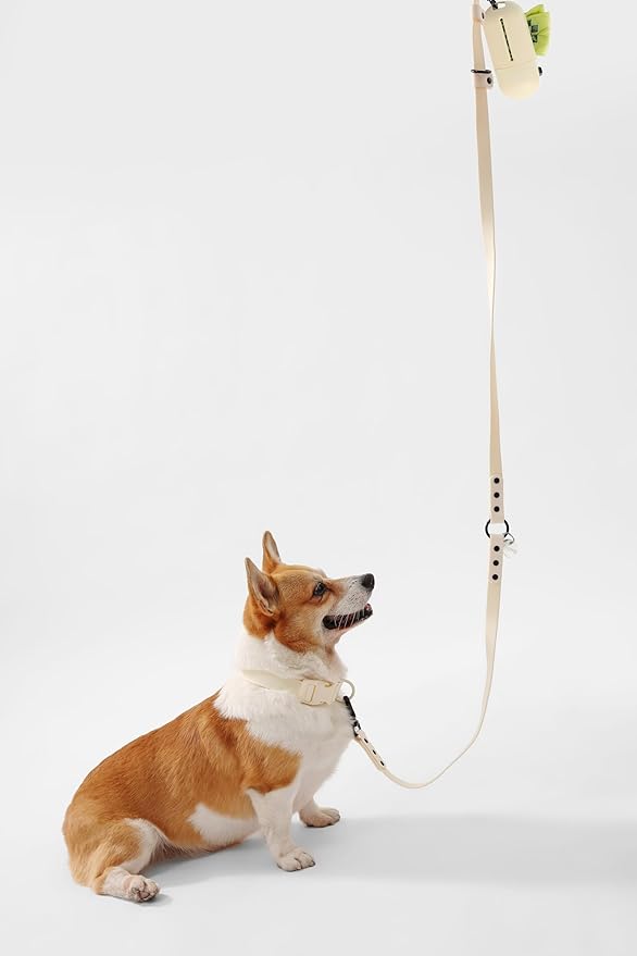 WLK1005L-5SET Luna Medium 8FT Adjustable 6-in-1 Waterproof Hands-Free Leash and Collar with LED Flashlight, Bag Dispenser, and Poop Bag Holder, Bailey