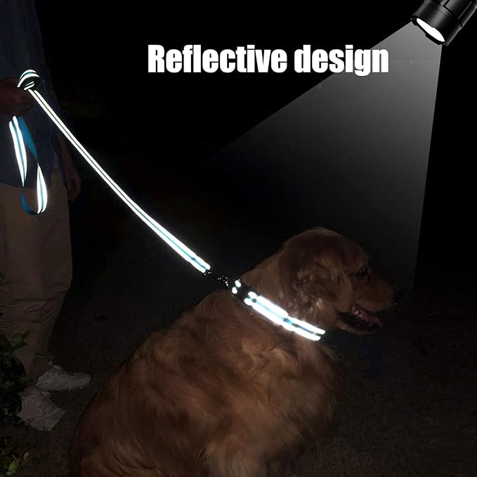 FunTags 4FT Reflective Dog Leash with Soft Padded Handle for Training,Walking Lead for Large & Medium Dog,1 Inch Wide,SkyBlue