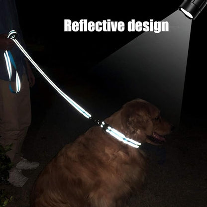FunTags 4FT Reflective Dog Leash with Soft Padded Handle for Training,Walking Lead for Large & Medium Dog,1 Inch Wide,SkyBlue