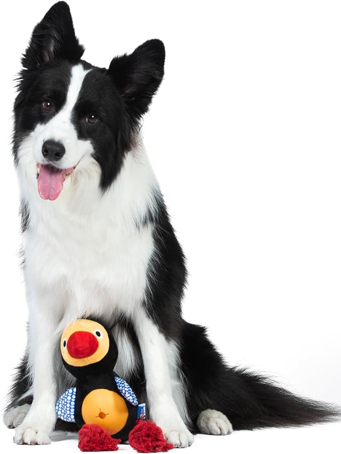 The Dodo Treat Dispensing Toy for Dogs with Rope Legs for Chewing, Treat Hide Enrichment Toy and Dispenser (Pack of 2)