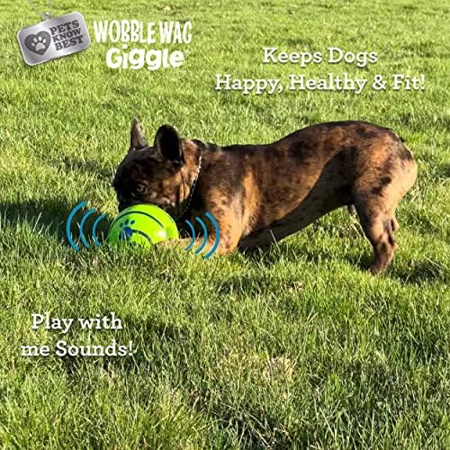 Wobble Wag Giggle Ball 2 Pack- Interactive Dog Toy, Fun Giggle Sounds When Rolled or Shaken, Pets Know Best, 1 Original & 1 Glow in The Dark Ball - Image 5
