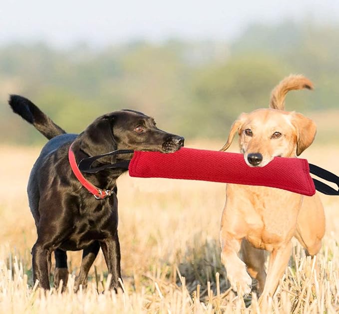 Clysrou Dog Tug Toy Tough Jute Bite Pillow Lasting Training Equipment Puppy to Large Dogs Interactive