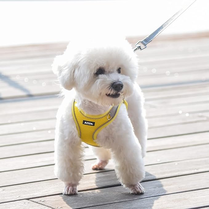 AIITLE No Pull Dog Harness and Leash Set, Step in Adjustable Dog Harness with Padded Vest for All Weather, Dog Leash with Soft Padded Handle, Easy to Put on Small and Medium Dogs Yellow S