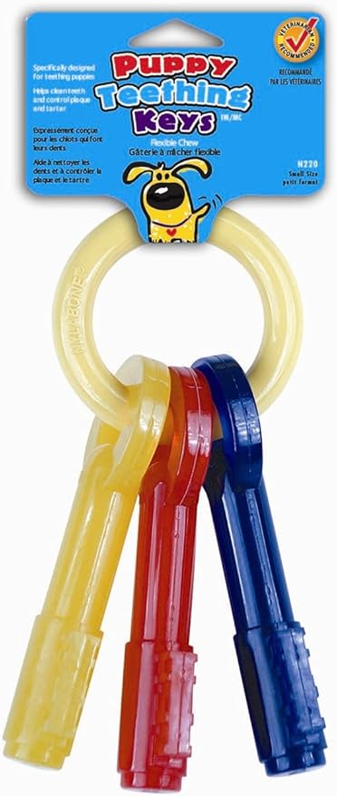 Nylabone Puppy Teething Keys Dog Chew Toy [Set of 2] Size: Small