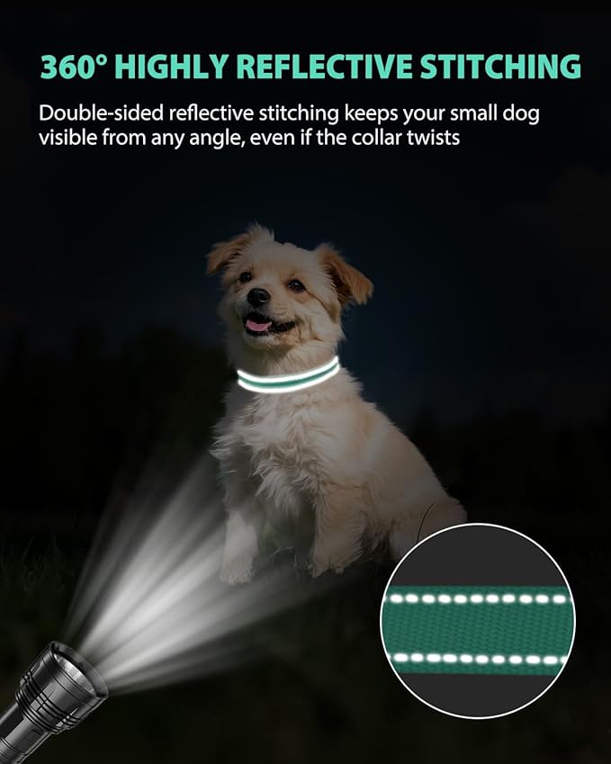 Joytale Dog Collars for Small Dogs, Feather-Light Double-Sided Reflective Nylon Collar for Night Safety, Adjustable Quick-Release for Growing Puppies, Teal, S (5/8" Width)
