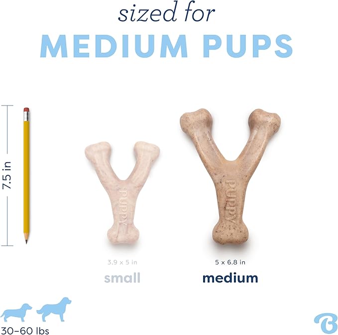 Benebone Puppy Wishbone Durable Dog Chew Toy for Gentle Chewers, Real Bacon, Made in USA, Medium (Pack of 2)