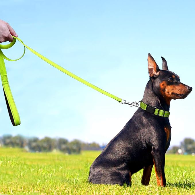 FunTags 6FT Reflective Dog Leash with Soft Padded Handle for Training,Walking Lead for Medium & Small Dogs,3/4 Inch Wide,Green