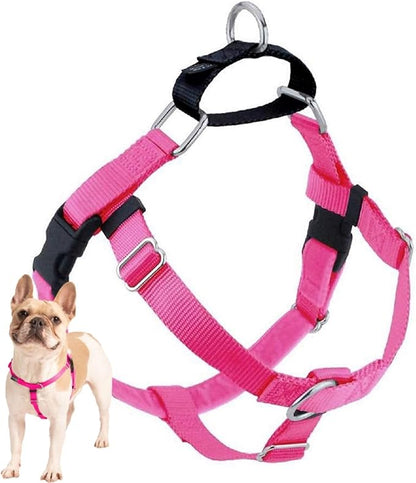2 Hounds Design Freedom No Pull Dog Harness, Adjustable Harness, Easy Walking & Comfortable Control, Fits Small, Medium & Large Dogs, Solid Colors, Made in USA, 1" LG, Hot Pink