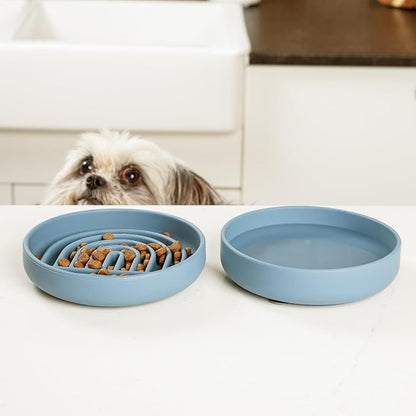 Should We Go? Slow Feeder for Dogs & Cats, The Slowdown Bowl Silicone Slow Eating Mealtime Solution with Modern Lick Mat Design, Reduces Gulping, Fits 1 Cup, 6” Across x 1.25” Tall, Small-Ocean