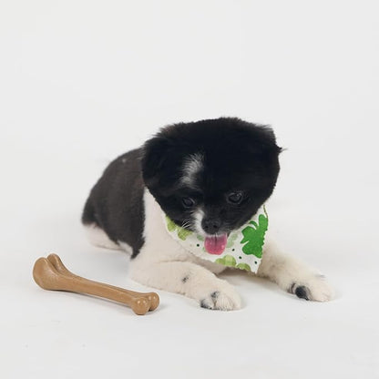 SPOT Bam-Bones Bone - Made with Strong Bamboo Fiber, Durable Long Lasting Dog Chew for Light to Moderate Chewers, Great Toy for Adult Dogs & Teething Puppies under 25lbs, 5.75in, Chicken Flavor