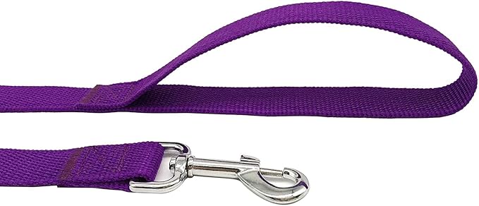 TAIAN 4FT/5FT/6FT Strong Dog Leash, Nylon Dog Leashes for Small Medium Large Dogs (5/8 in x 5 ft, Purple)