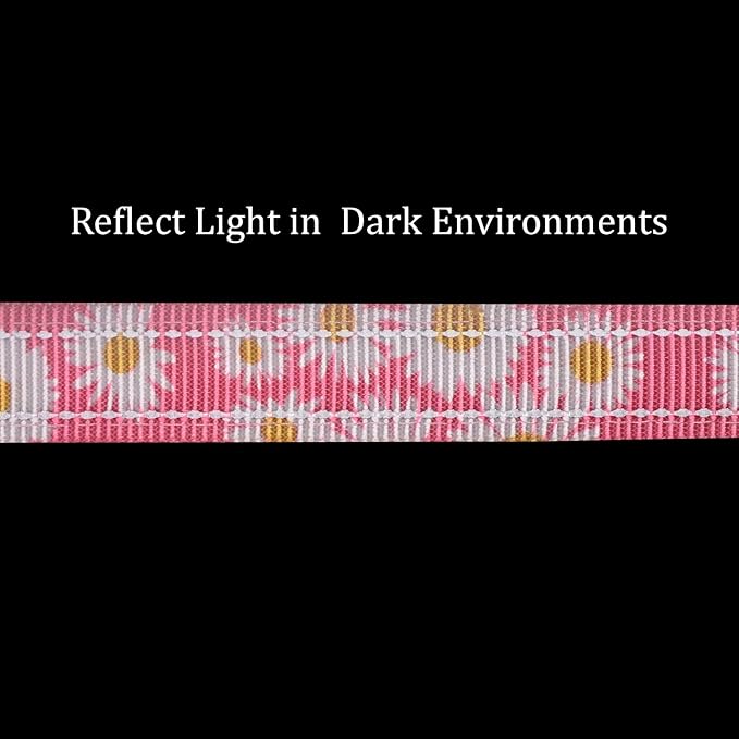 Hands Free Dog Leash, No Pull Bungee Dog Running Waist Leash, with Car Seat Belt, Reflective Stripes, Heavy Duty for Medium and Large Dogs. (Daisy Pink, Large)