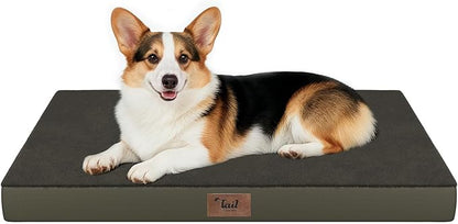 Orthopedic Dog Bed for Large Dogs, Plush Washable Pet Bed for Large Size Dogs with Egg Crate Foam & Removable Oxford Cover, 36x27 Inch, Coffee