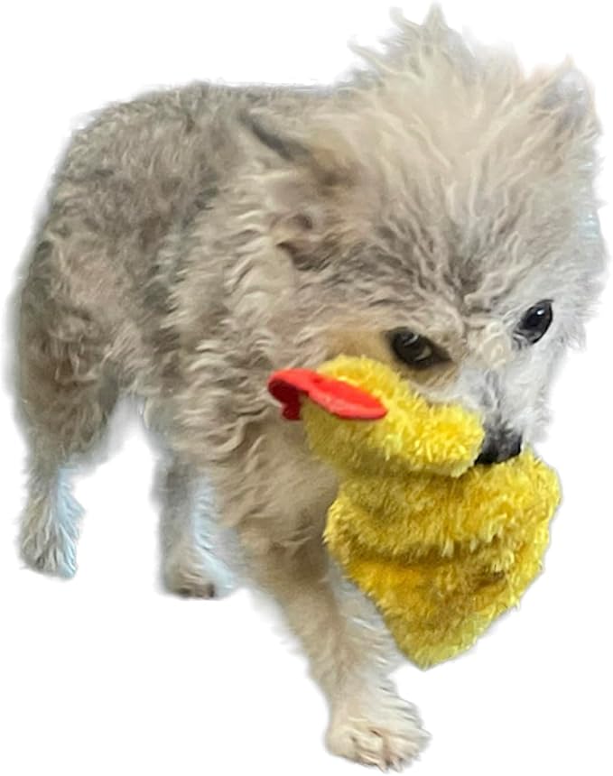 Chicken and Egg Crinkle Squeaker Pack Fun Durable Interactive Fetch Toys for Puppies Dogs Small Amimals