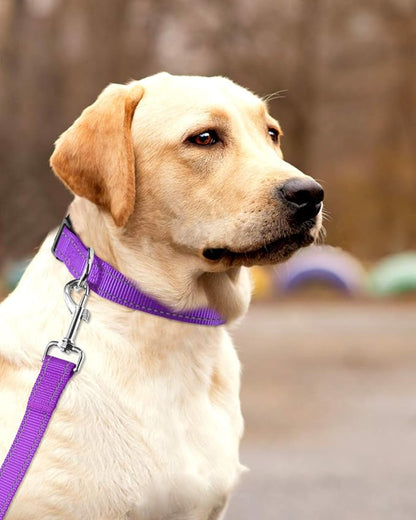 FunTags Reflective Dog Collar, Sturdy Nylon Collars for Large Girl and Boy Dogs, Adjustable Dog Collar with Quick Release Buckle, Purple