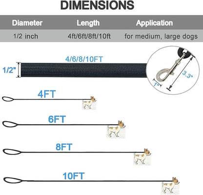 MayPaw 4/6 /8/10 FT Dog Leash, Classic Solid Colors, Strong Nylon Rope Dog Leash Reinforced with Leather Tailor Connection Heavy Duty Silver Clasp (Black, 4ft*1/2")