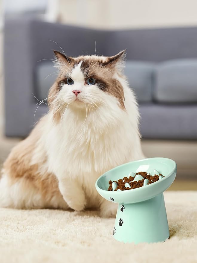 Y YHY Slow Feeder Cat Bowl, Ceramic Cat Slow Feeder Bowl, 6 Inches, Elevated, Anti Vomiting for Dry and Wet Food, Green