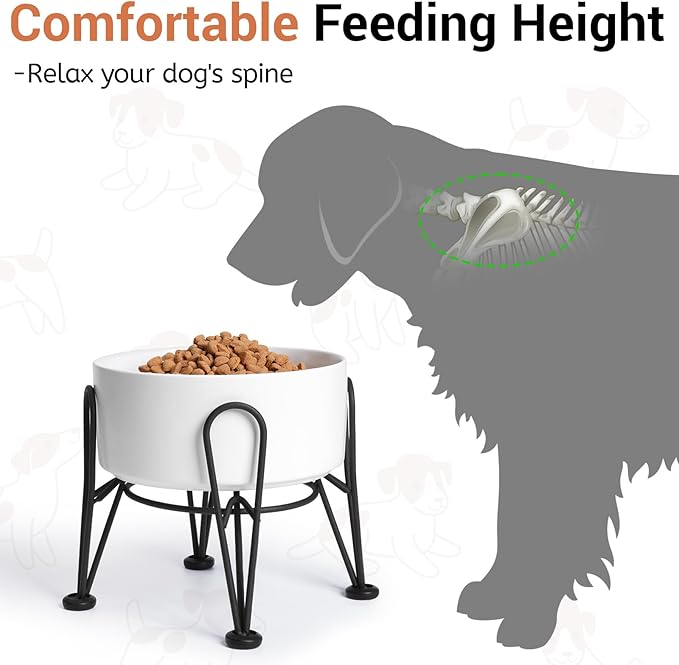 Elevated Dog Bowls, Ceramic Raised Dog Bowl Set with Anti-Slip and Non-Tip Metal Stand, 2 Pack Pet Food and Water Feeding Bowls for Small and Medium Dogs (White,7.6 Cups)