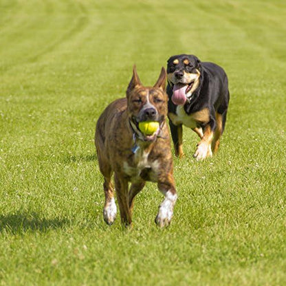 Hyper Pet Fetching Dog Toys - Throwing Ball Dog Toy Made with EVA Foam - Lightweight & Floats on Water,Green - Image 7