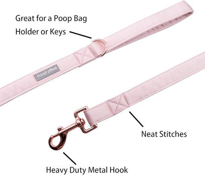 Lionet Paws Dog Leash - Silk Pink Leash for Small Medium Large Dogs Matching Collar for Girl and Boy