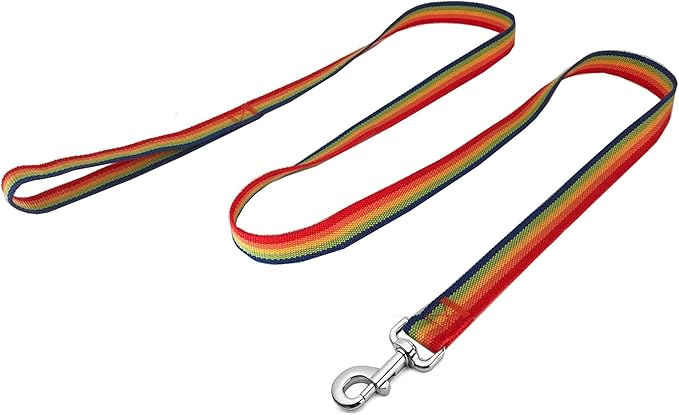 Strong Nylon Dog Leash, 4FT/ 5 FT/ 6FT Dog Leashes for Medium Large Dogs (4FT, Rainbow)