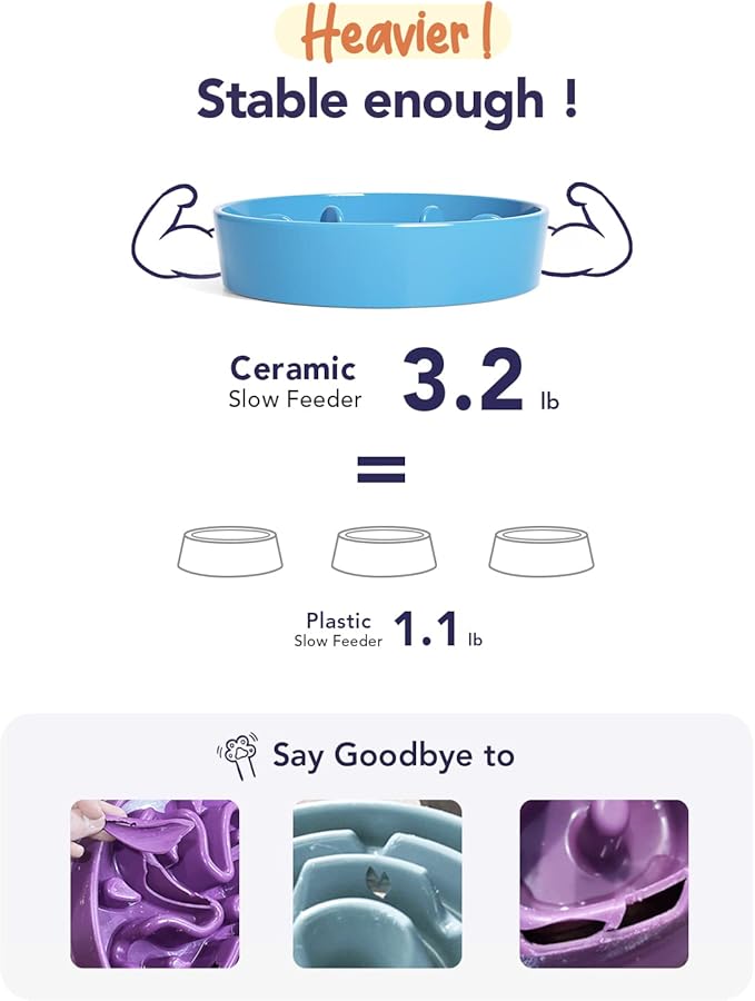 LE TAUCI PET Slow Feeder Dog Bowl Ceramic, 1.5 Cups, Blue, Non-slip Base