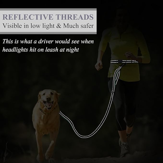 VIVAGLORY Hands Free Dog Leash Bungeeone Running Dog Leash with Waist Belt for Running Walking & Jogging, Bungee & Around Waist for Pet, M, Grey/Turquoise