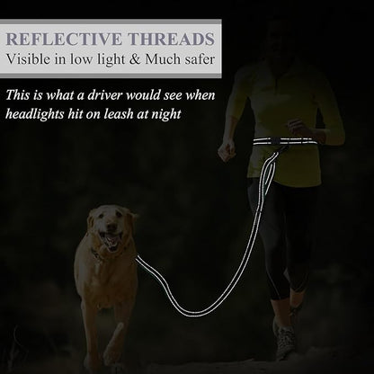 VIVAGLORY Hands Free Dog Leash Bungeeone Running Dog Leash with Waist Belt for Running Walking & Jogging, Bungee & Around Waist for Pet, M, Grey/Turquoise