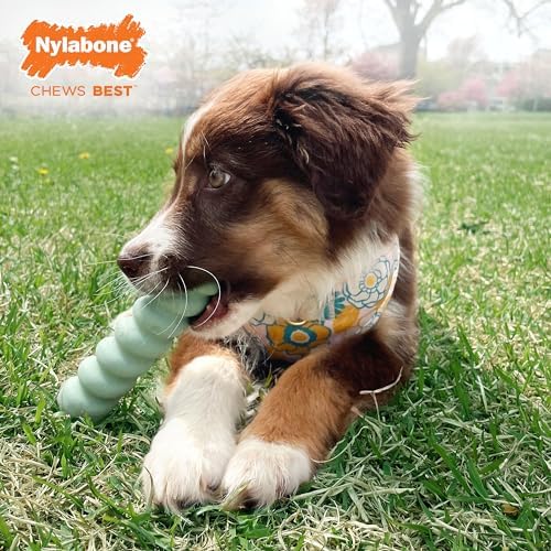 Nylabone Puppy Chew Sensory Material Grooved Stick Dog Chew Toy, Small - Image 2