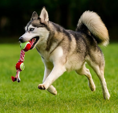 Rope Tennis Ball Toys for Aggressive Chewers, Durable Cotton Rope Tennis Ball Chew Toys for Small, Medium Dogs, Prevent Destructive Chewing, Fetch Toys for Dental Care & Training (2Pcs, Tennis)