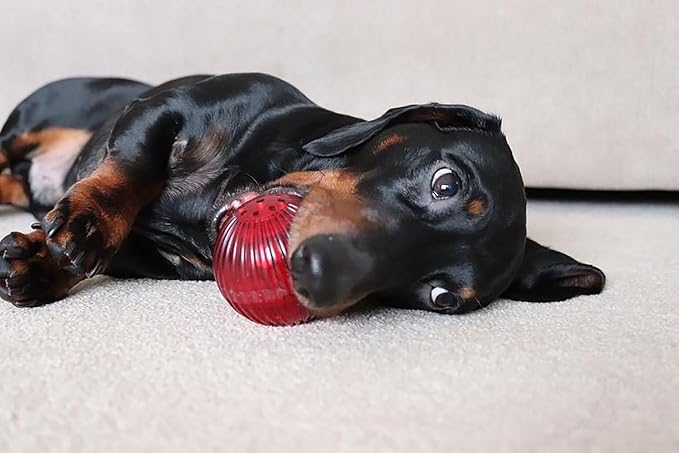 Pet Qwerks Blinky Babble Ball - Flashing Interactive Dog Toy - Large