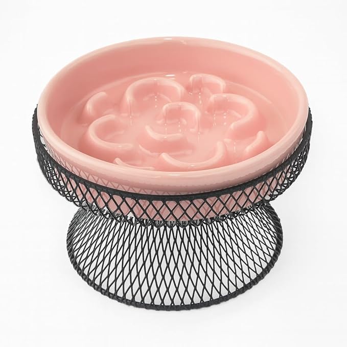 Raised Ceramic Cat Slow Feeder Bowl Elevated Food Bowl with Stand, Cat Slow Bowl for Wet Food and Dry Food, Whisker Friendly Pet Feeder for Kitty and Small Dog