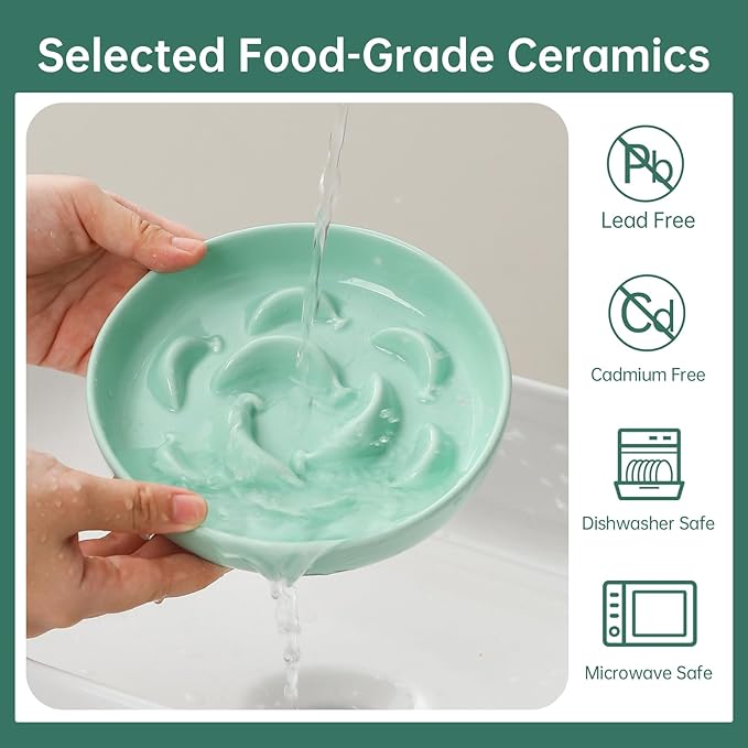 Ceramic Cat Slow Feeder Bowl - Pastel Series Cat Plate for Dry and Wet Food - Cute Maze Feeder Dish for Healthy Eating - Dishwasher Safe - 6.3''W x 1.2''H - 7 OZ - Mint Green