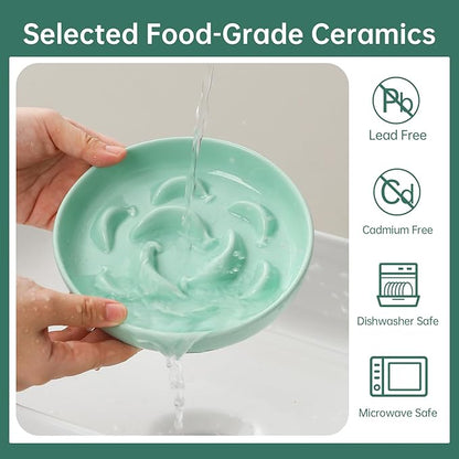 Cat Slow Feeder Bowl Set - 2-Pack Ceramic Cat Dishes for Slow Eating - Whisker-Friendly Cute Maze Bowls for Dry & Wet Food - Microwave & Dishwasher Safe - White and Green