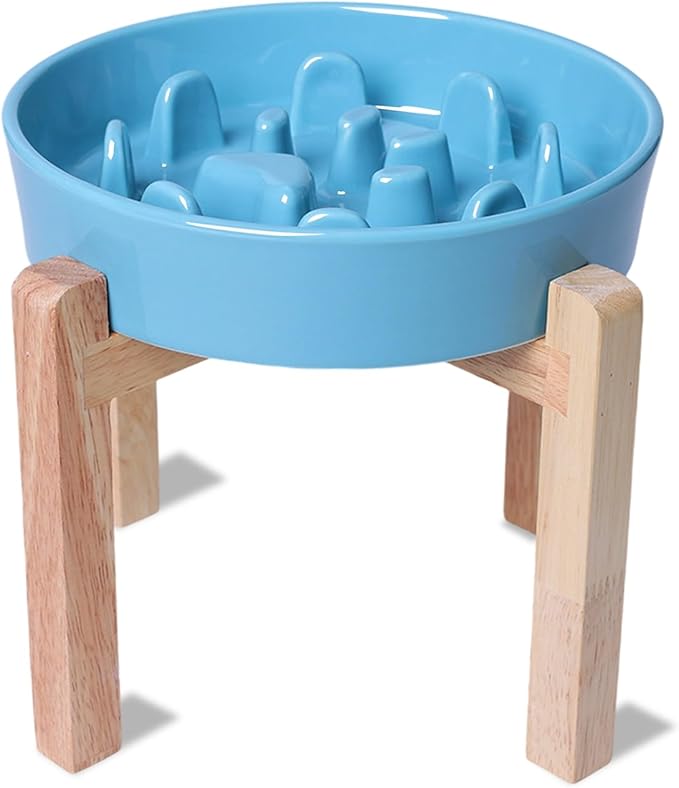Dog Slow Feeder Bowl with Stand, Round Ceramic Pet Food Bowl for Medium Breed, Fun Raised Dog Bowls to Slow Down Eating (Turquoise)