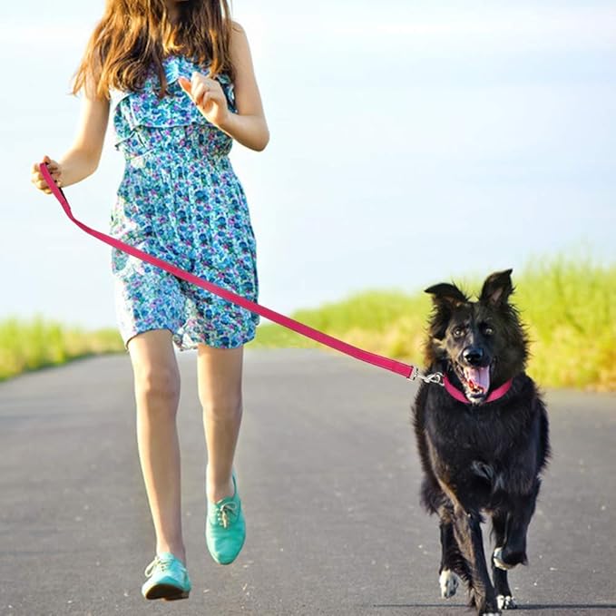 FunTags 4FT Reflective Dog Leash with Soft Padded Handle for Training,Walking Lead for Large & Medium Dog,1 Inch Wide,Hotpink