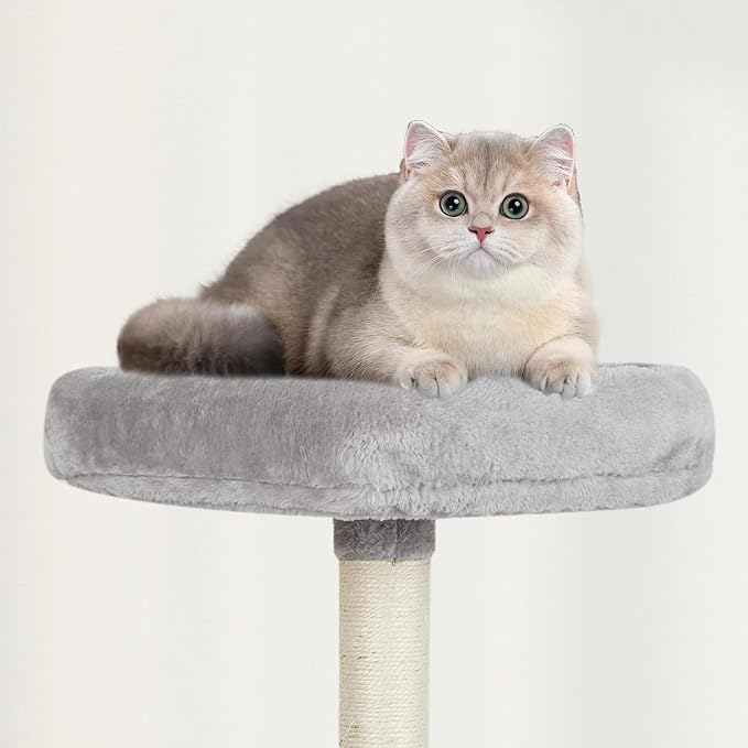 MIAO PAW Grey Cute Cat Tree for Indoor Cat Tower with Scratching Post Modern Activity House Hammock Hanging Ball Condo with Board
