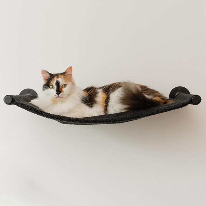 Cat Hammock Wall Shelf, Wall Mounted Furniture for Cat Support up to 33 lb, Black Hammock